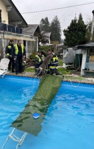 Tierrettung aus Swimmingpool
